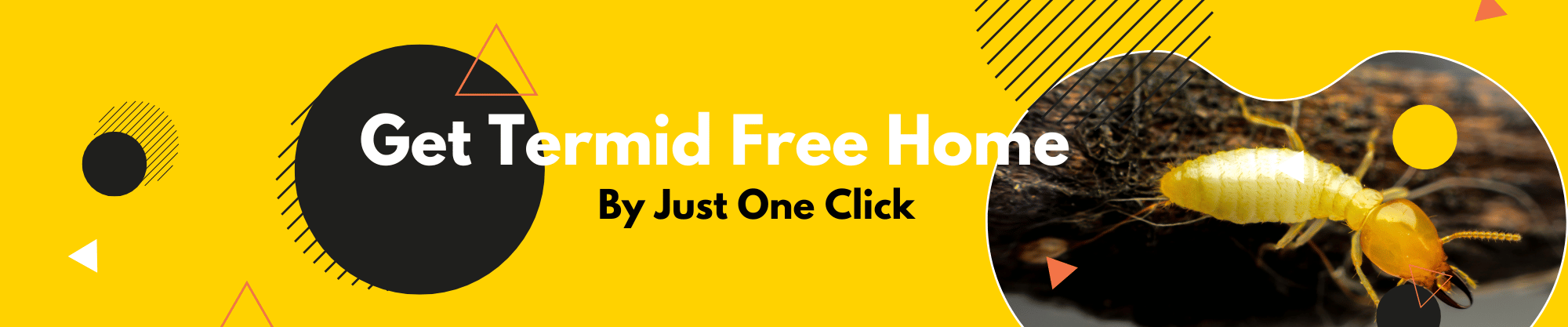pest_control_houzecare2